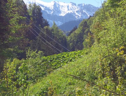 partnach gorge tour